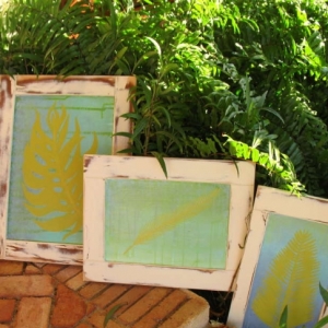 Palm Series on Reclaimed Cabinet Doors